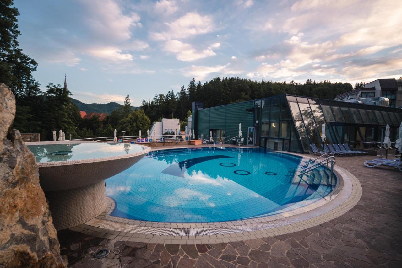 Hotel Svicarija - Terme Добрна Экстерьер фото